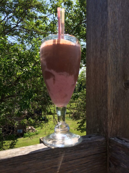 pilsner smoothie