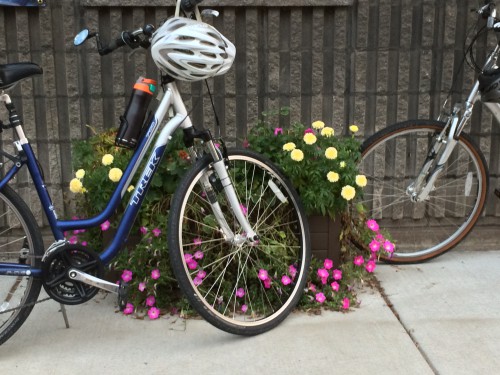 Showroom visitor parking
